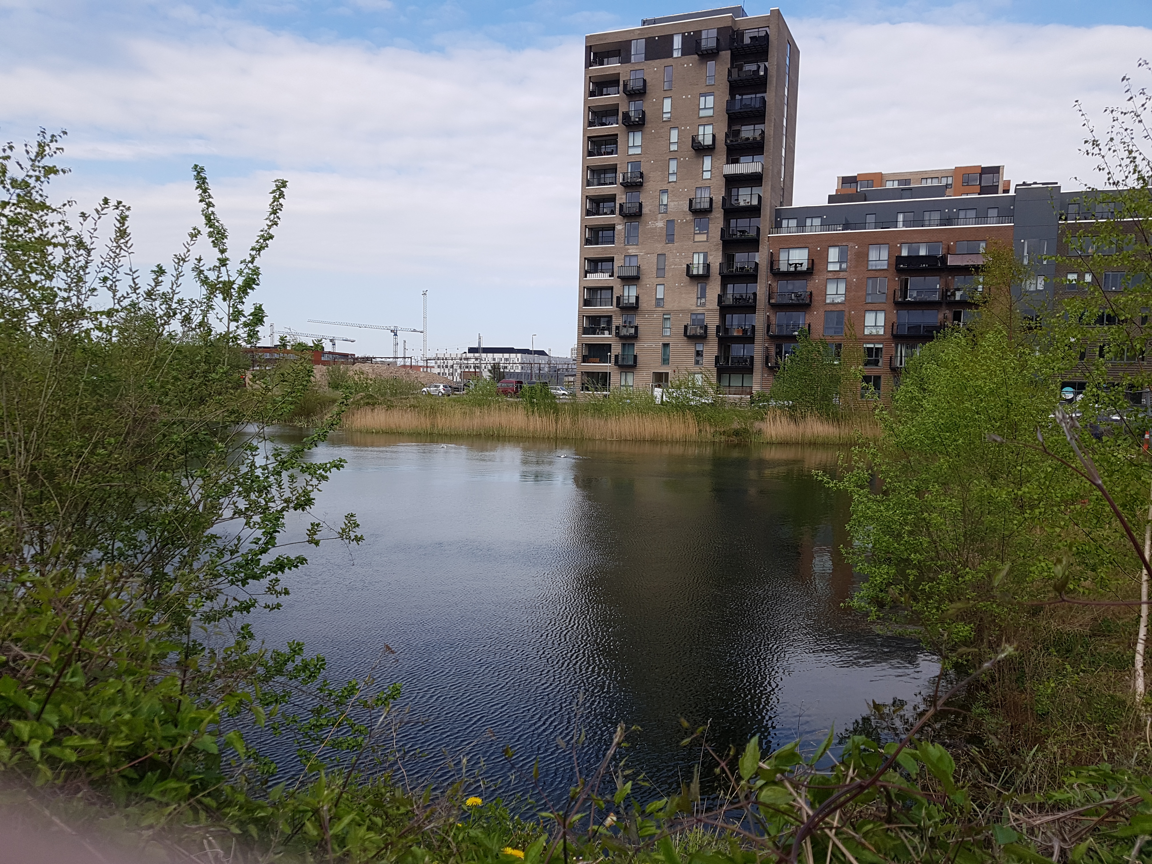 DN Odense klager over afgørelse om nedlæggelse af sø