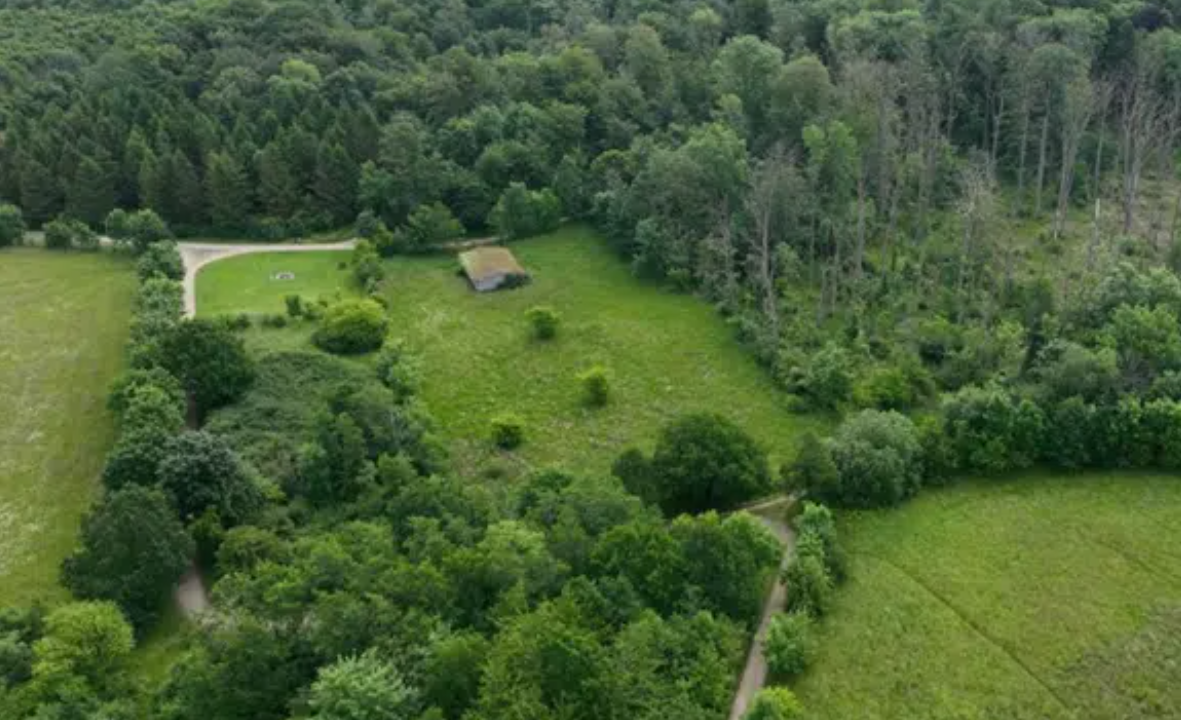 Naturtur til Kohaveskoven