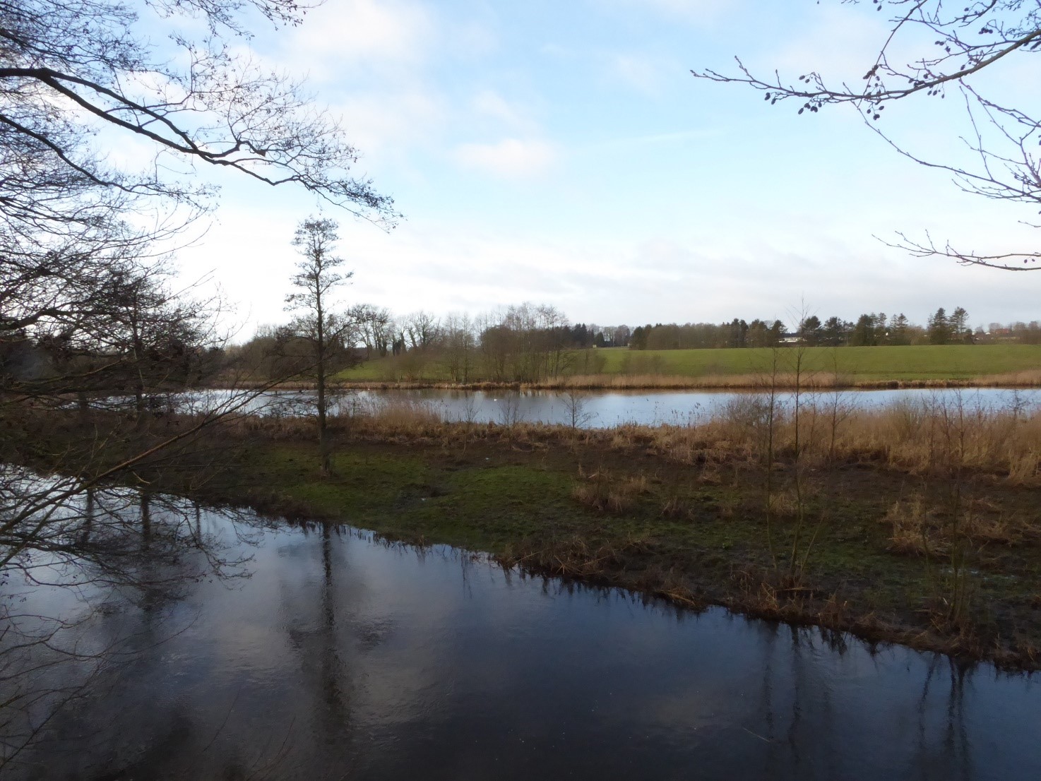 By og land står sammen om historisk genopretningsplan for Odense Fjord